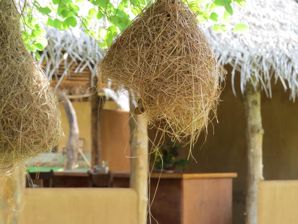 Hotel Cloudz Sigiriya Pokoj fotografie