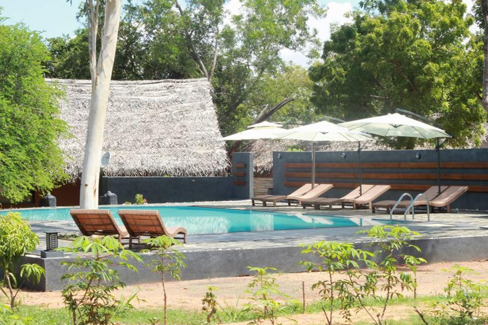 Hotel Cloudz Sigiriya Exteriér fotografie