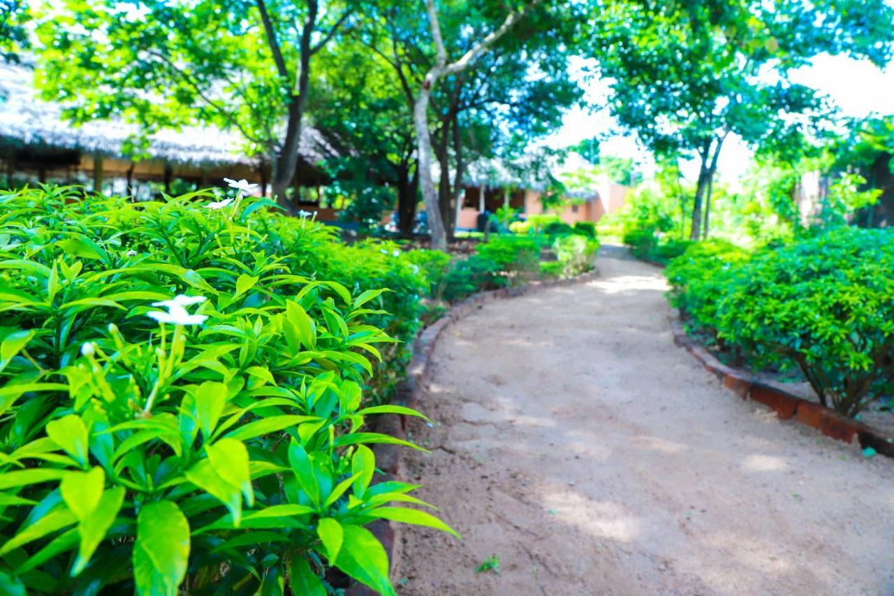 Hotel Cloudz Sigiriya Exteriér fotografie